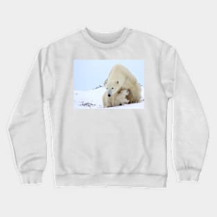 Mother plar bear watching over potential hazards Crewneck Sweatshirt